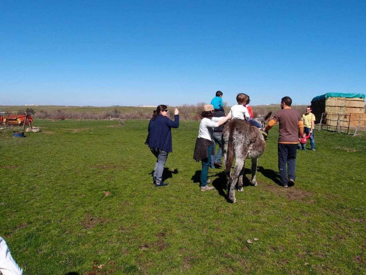 Agroturismo El Mirador de la Cigüeña Cabanillas del Monte Exterior foto
